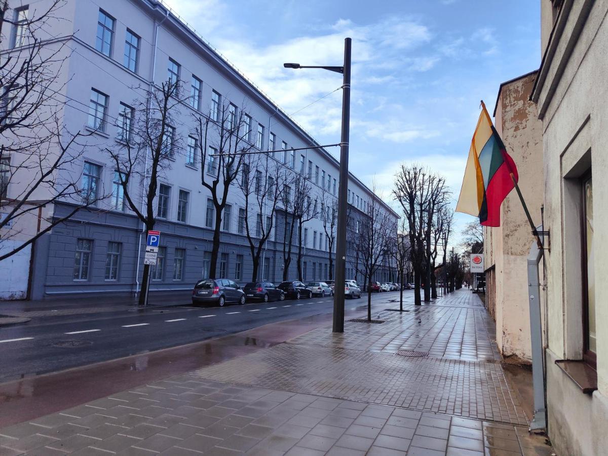 Owl Jazz Apartments - Luxury Apartments In The Heart Of The City Kaunas Exterior foto